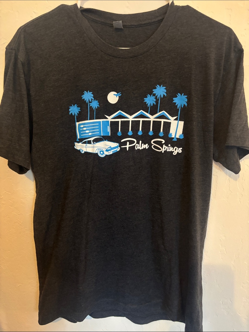 Palm Springs Graphic Short Sleeve Tee - Charcoal with Blue & White Print